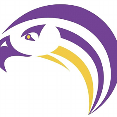 Aiken Little Falcons logo