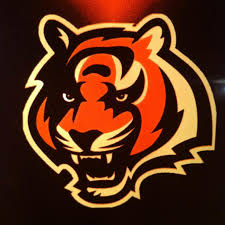 Swatara Tiger Youth Football & Cheer logo