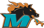 Miami Fury Football logo