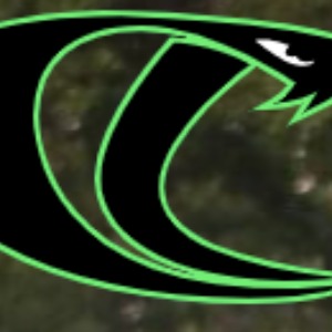 Cleveland Cobras 2024 logo