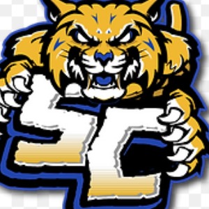 Steel City Bobcats 2024 logo