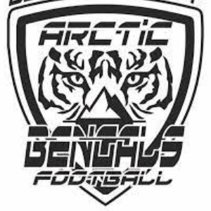Beaver County Arctic Bengals 2024 logo