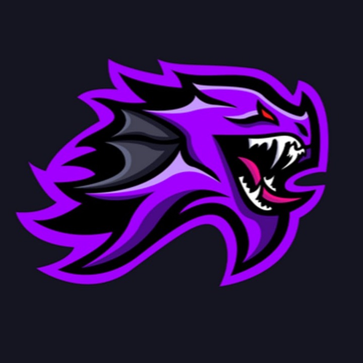 West Virginia Leviathan 2024 logo