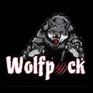 Stark County Wolfpack 2024 logo