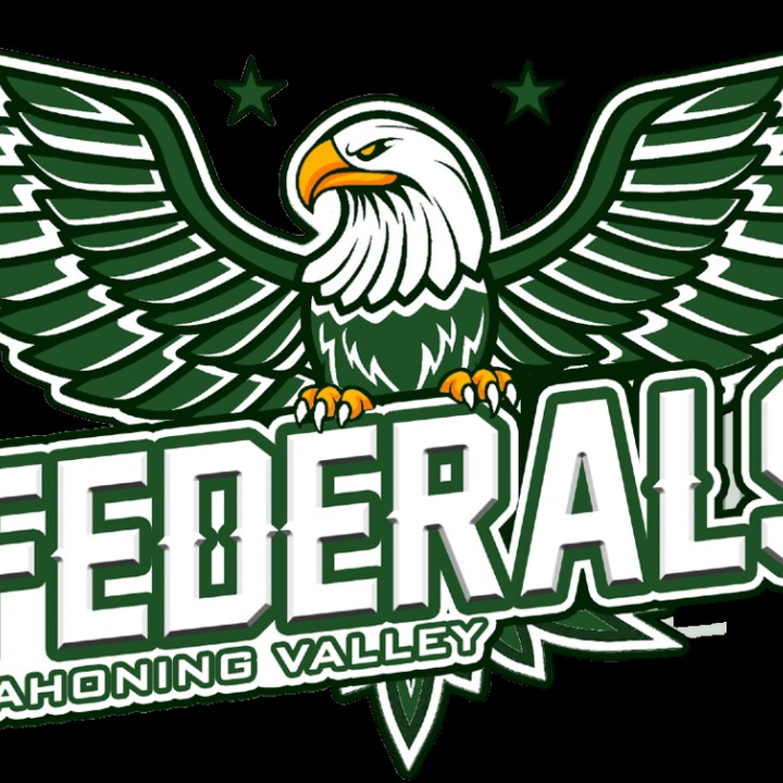 Mahoning Valley Federals 2024 logo