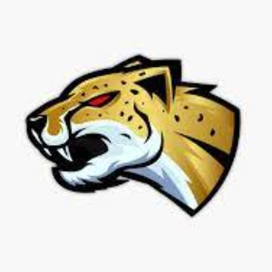 Westside Cheetahs 2024 logo