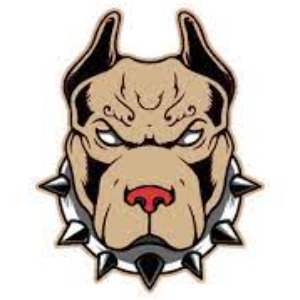 North East Ohio Pitbulls 2024 logo