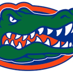 Michigan Gators 2024 logo