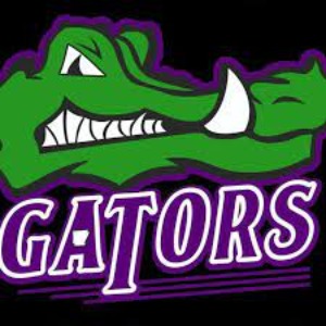 Arkansas Gators logo