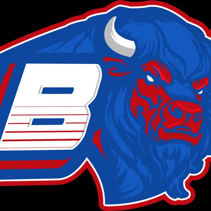 Buffalo Stampede logo