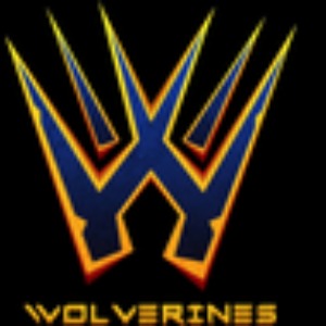 Buffalo Wolverines logo