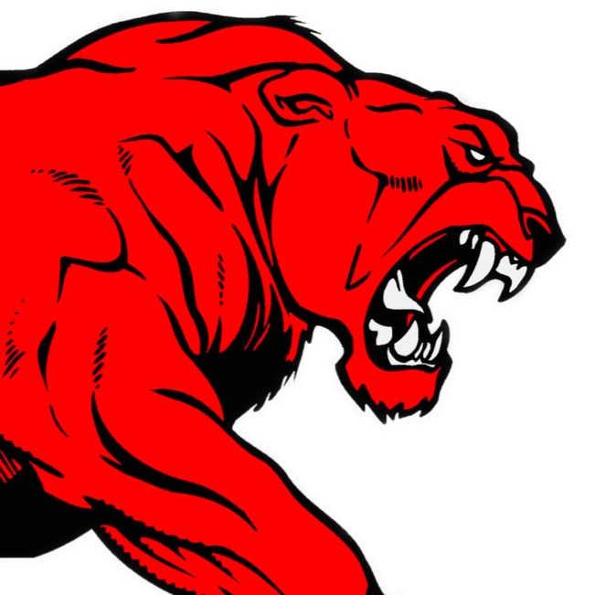Charleroi Sabers logo