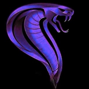 I-5 Cobras logo