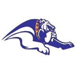 Mecca Town Bulldogs logo
