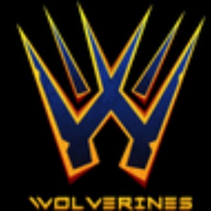 New York Wolverines logo