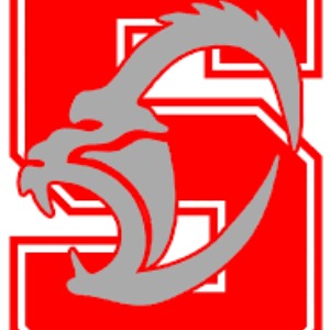 San Diego Silverbacks logo