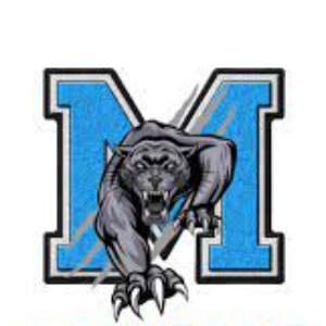 Memphis Panthers logo