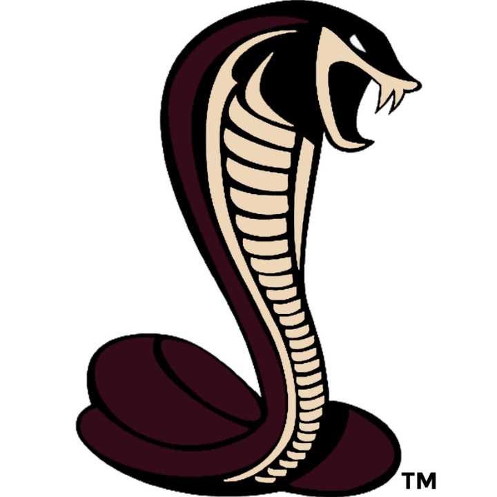 Middleboro Cobras logo