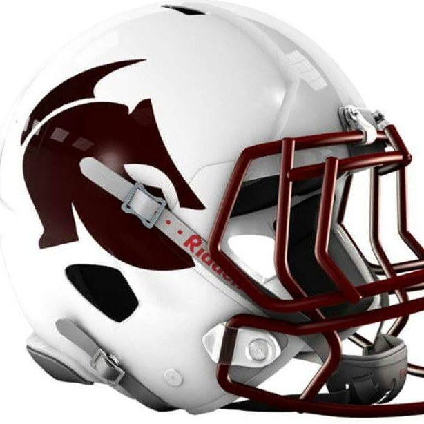 Taunton Gladiators logo