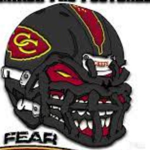 CT Chiefs logo