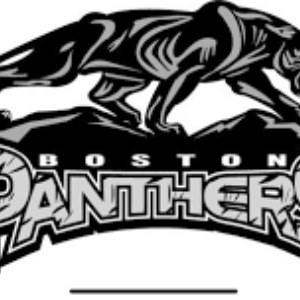 Boston Panthers logo