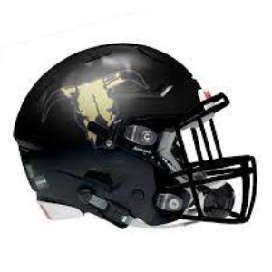 South Coast Outlaws logo