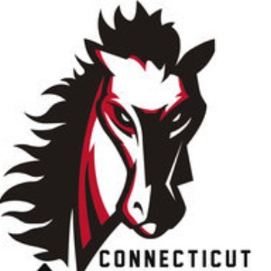 Connecticut Mustangs logo