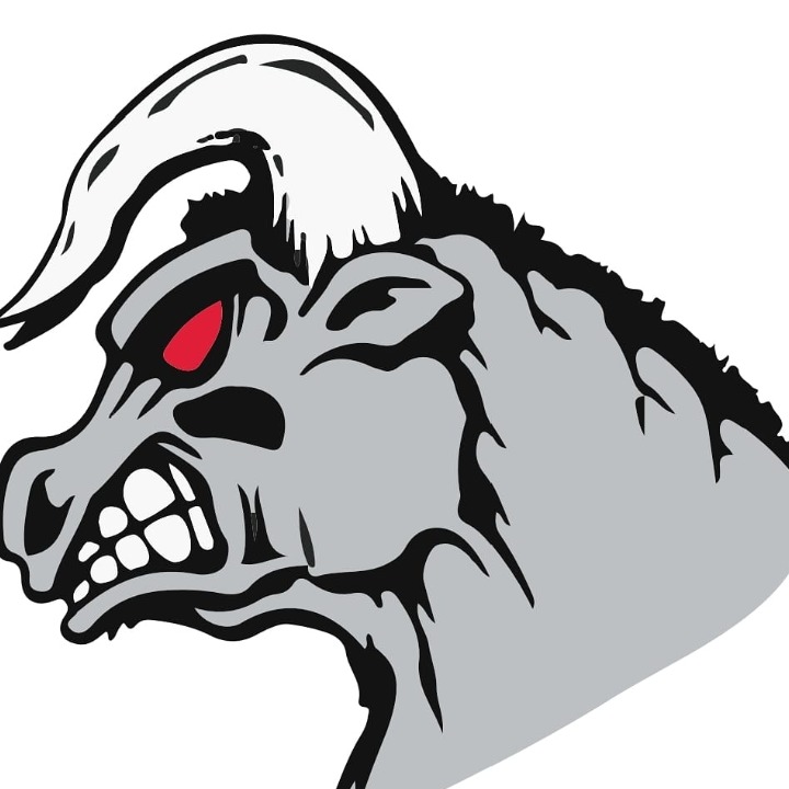 Southern Maine Raging Bulls logo