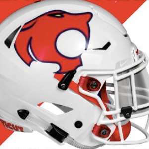 Connecticut Thundercats logo