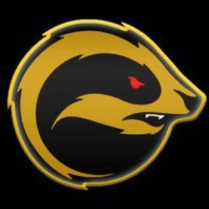 Golden Badgers logo