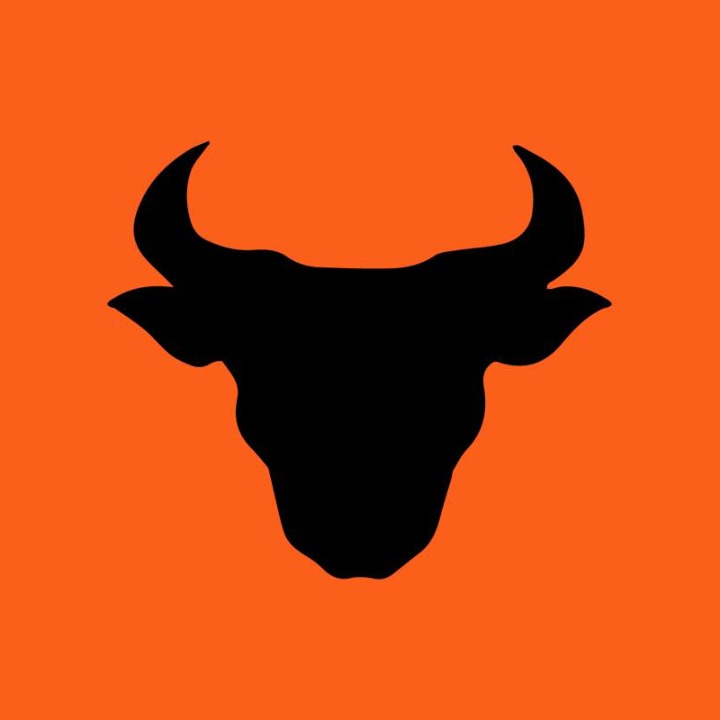 Bristol Bulls logo
