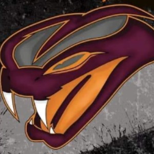Southington Valley Vipers logo