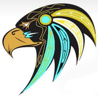 CT Falcons logo