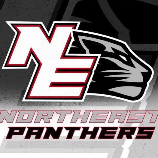 Northeast Panthers logo