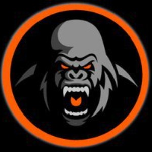 New London County Silverbacks logo