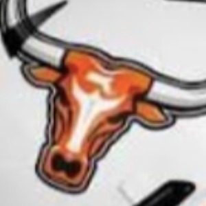 Middlesex Longhorns logo