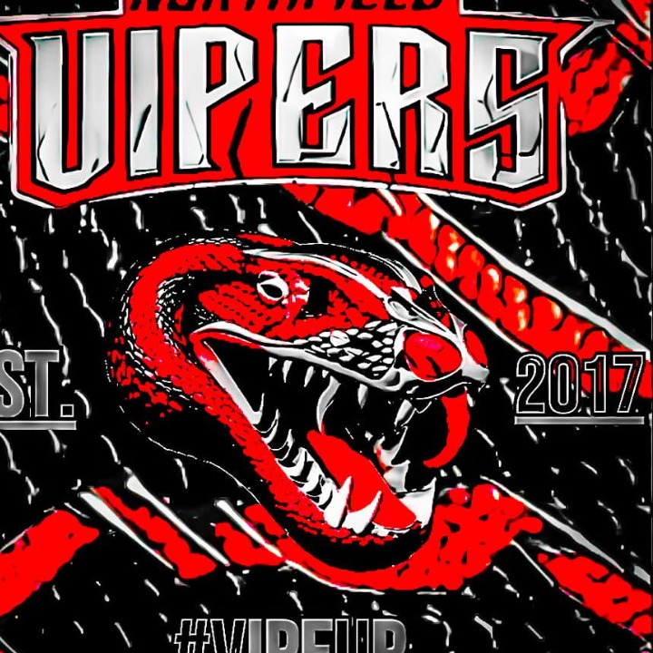 Northfield Vipers 2024 logo