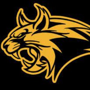 Buffalo Ridge Wildcats 2024 logo