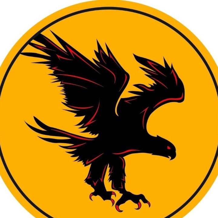 Newton Nite Hawks logo