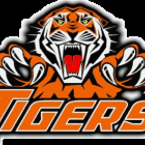 Brick City Tigers logo