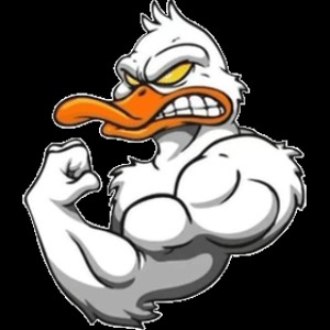 Overbrook Ducks logo