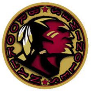 Brooklyn Seminoles logo