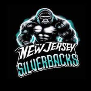New Jersey Assassins logo