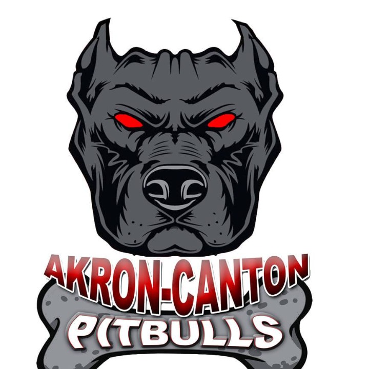 Akron Canton Pitbulls logo
