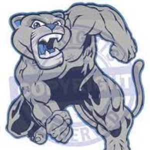 Carolina Cougars logo