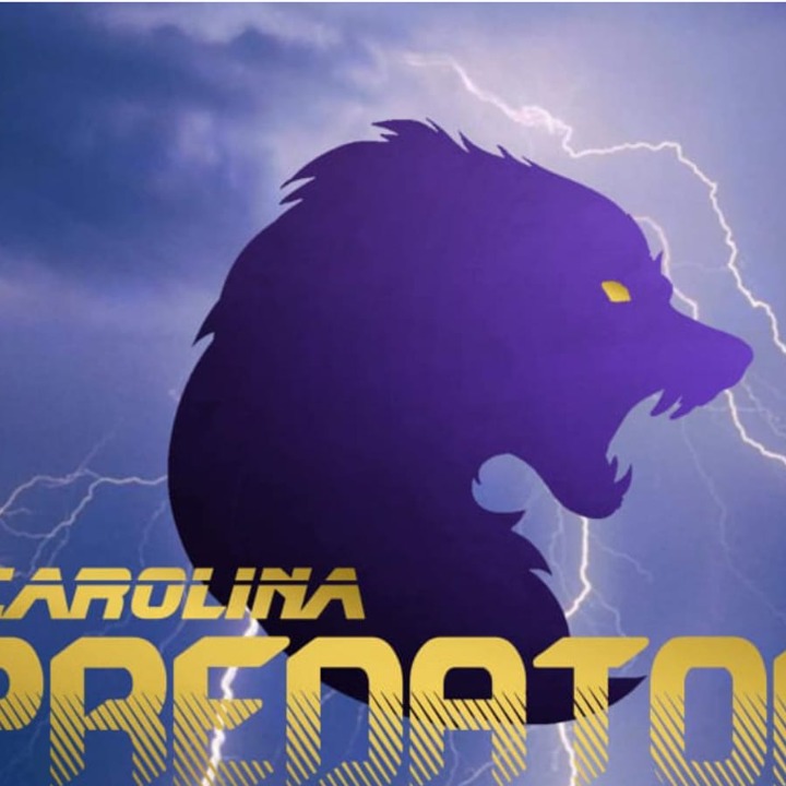 Carolina Predators logo