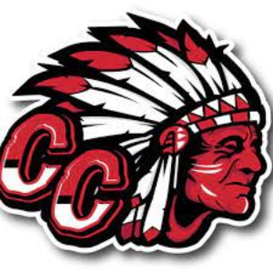 Carolina Chiefs logo