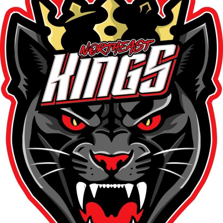 Northeast Kings logo
