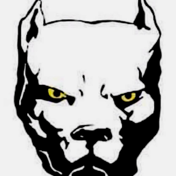 Harrisburg Pit Bulls logo