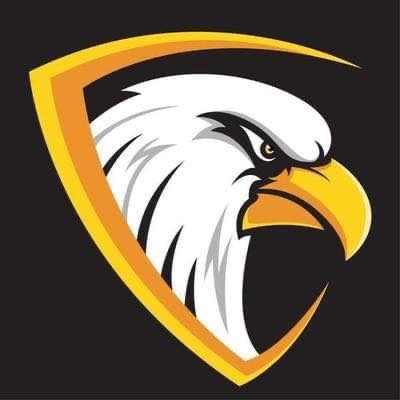 Virginia Hawks logo